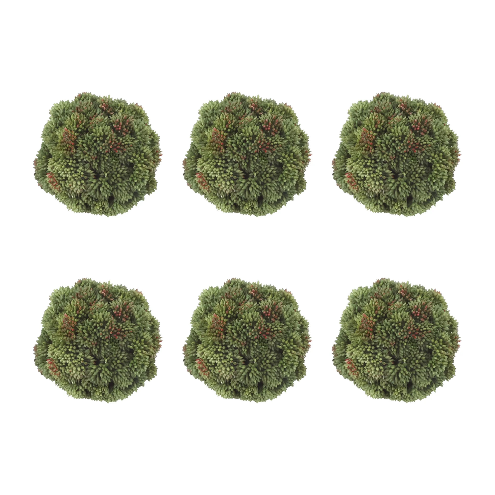 Decorative Sedum Balls | Wayfair North America