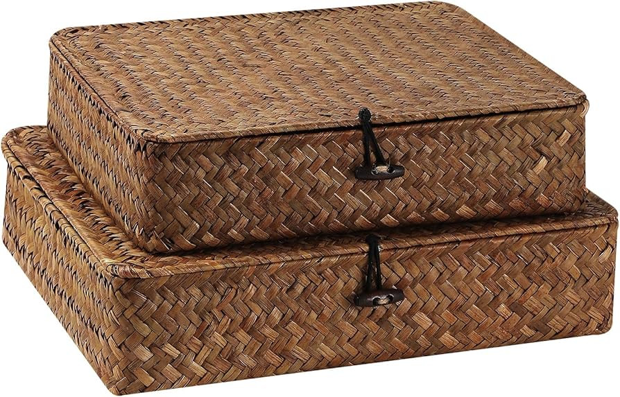 2 Pack Flat Woven Wicker Storage Bins with Lid, Wicker Storage Baskets for Organizing, Natural Se... | Amazon (US)
