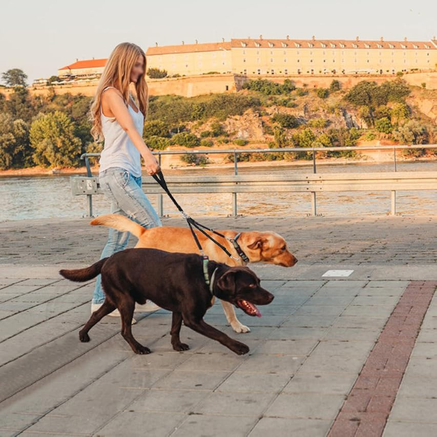 YOUTHINK Double Dog Leash, No Tangle Dog Walking Leash 2 Dogs up to 180lbs, Comfortable Adjustable D | Amazon (US)