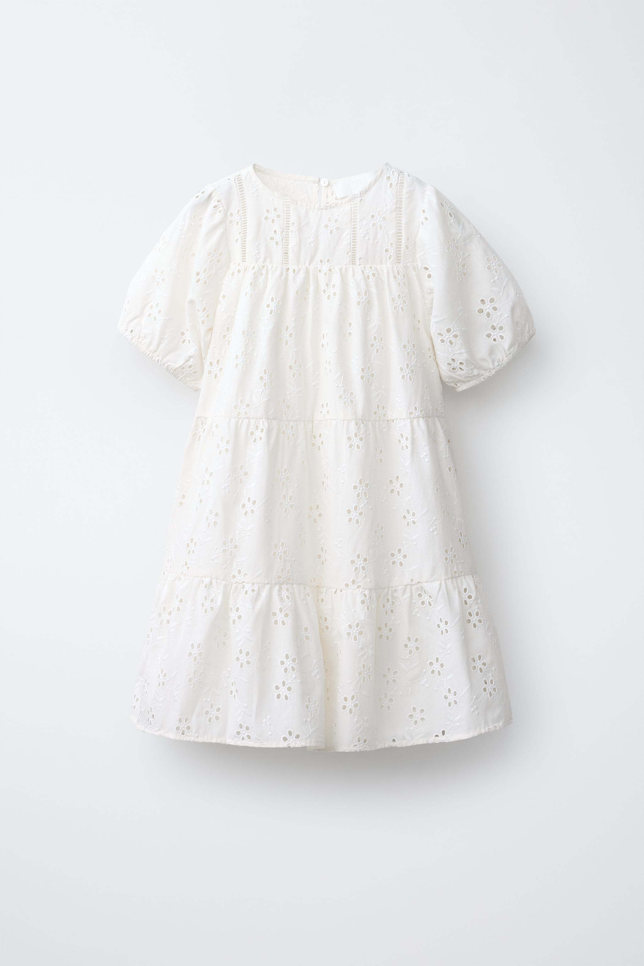 EMBROIDERED DRESS | Zara US