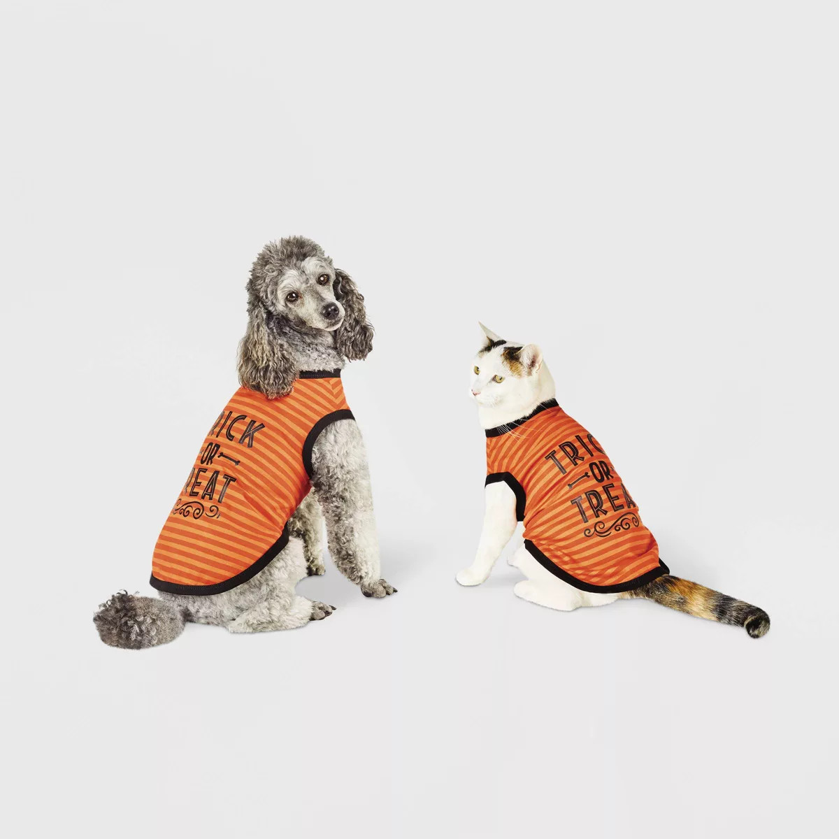 Halloween Trick or Treat Graphic Dog and Cat T-Shirt - Orange - Hyde & EEK! Boutique™ | Target
