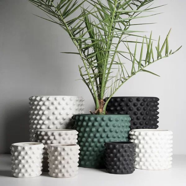 Cloudy 1-Piece Ceramic Pot Planter | Wayfair North America