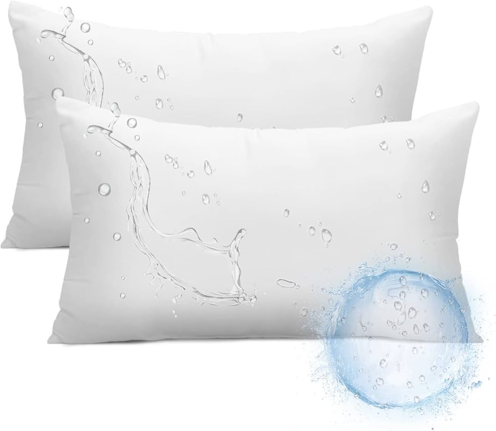 Ashler Outdoor Lumbar Pillows, 12 x 20 Outdoor Pillows, Summer Pillows Set of 2, Water Resistant ... | Amazon (US)