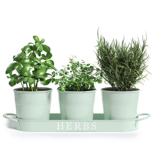Barnyard Designs Herb Pot Planter Set with Tray for Indoor Garden or Outdoor Use, Soft Mint Metal... | Walmart (US)