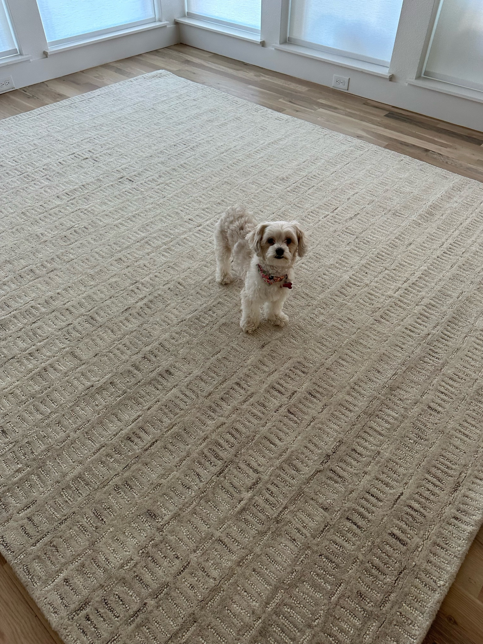 Found a similar rug! 

#LTKhome