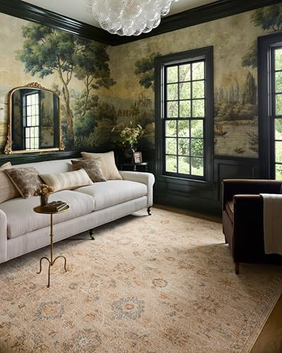 Loloi Chris Loves Julia Palma Collection PLM-11 Natural/Multi 7'-10" x 10' Fringe Area Rug Vintag... | Amazon (US)