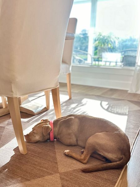 Machine washable rug 
Diamond jute rug 
Dining room
Dog friendly 
Pet friendly 
Coastal home decor 

#LTKhome #LTKsalealert