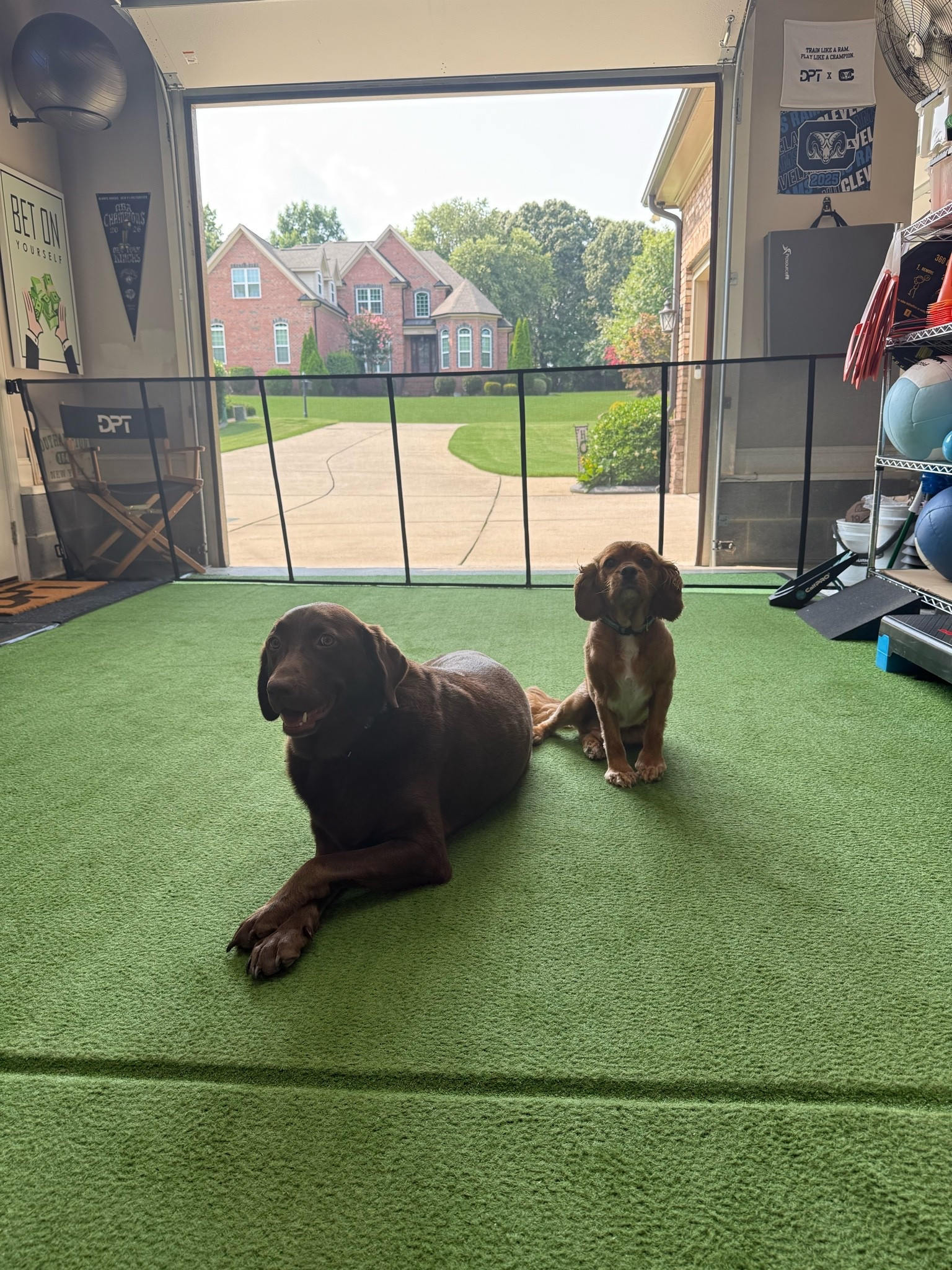 Hands down one of the best upgrades to the gym has been this retractable gate for the pups! 🐶 They love joining for workouts!

#LTKdayinmylife #LTKfitnessgoals #LTKselfcare