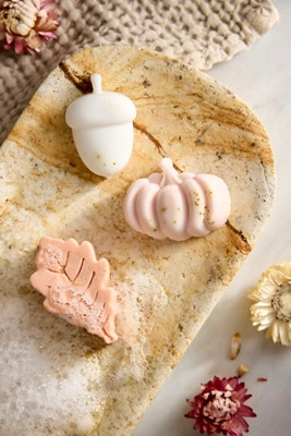 Fall Guest Soaps, Set of 3 | Anthropologie (US)