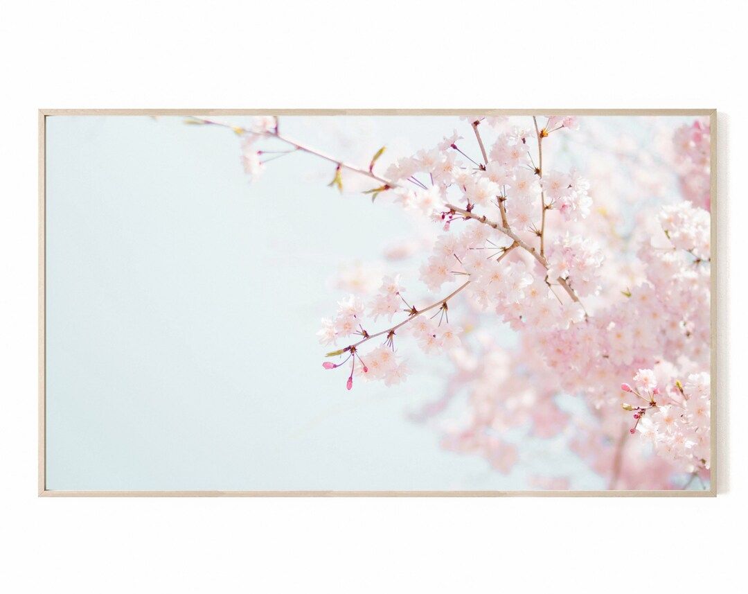Samsung Frame TV Art Cherry Blossom Tree Spring Theme Pink - Etsy | Etsy (US)