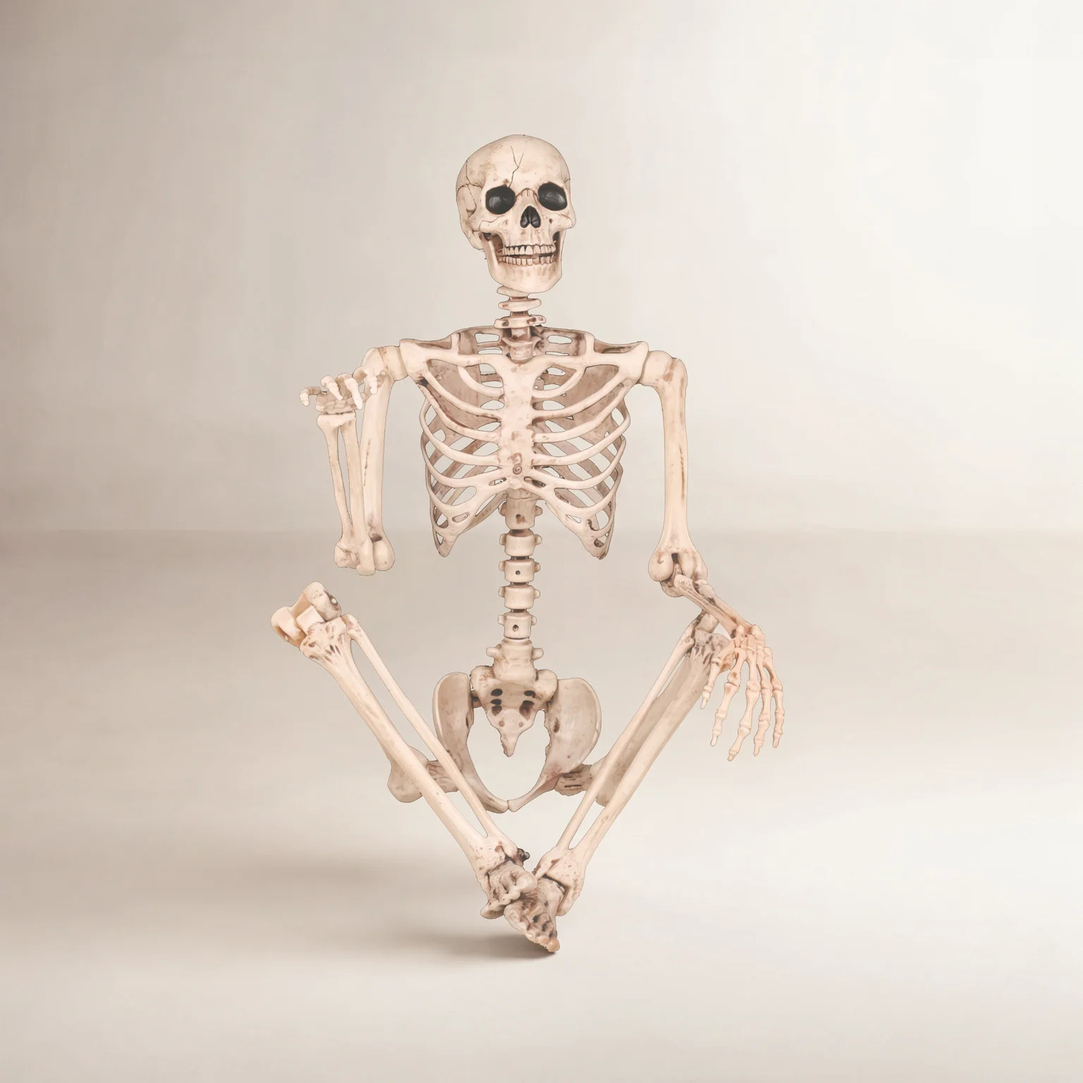 Pose-N-Stay Halloween Skeleton | Birch Lane
