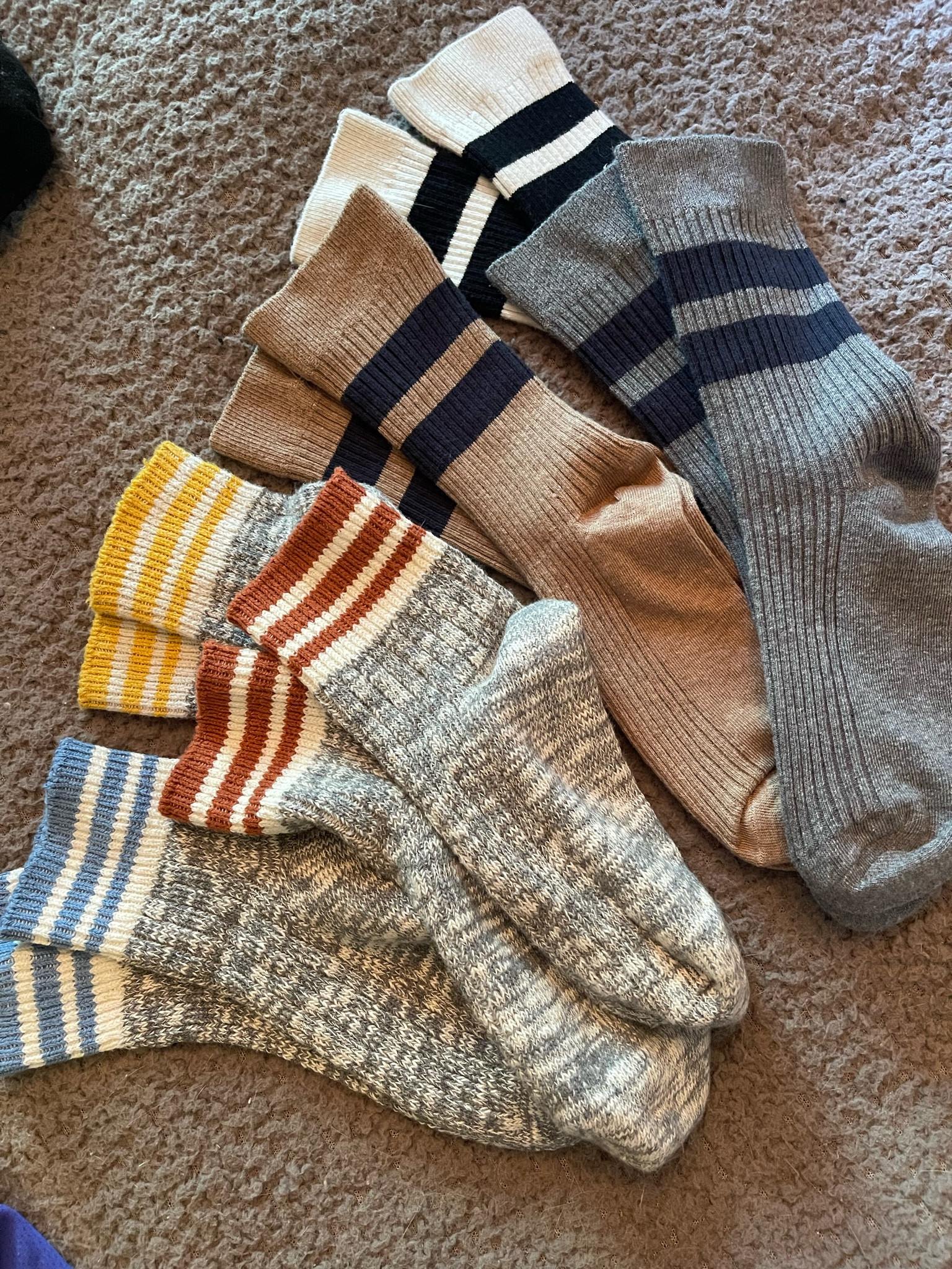 Recently bought some comfy and cute socks at Target. I love cozy socks for days around the house 

#LTKWorkwear #LTKShoeCrush #LTKStyleTip