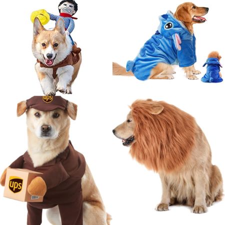 Halloween costumes for dogs
Pets costumes 

#LTKHalloween #LTKfamily