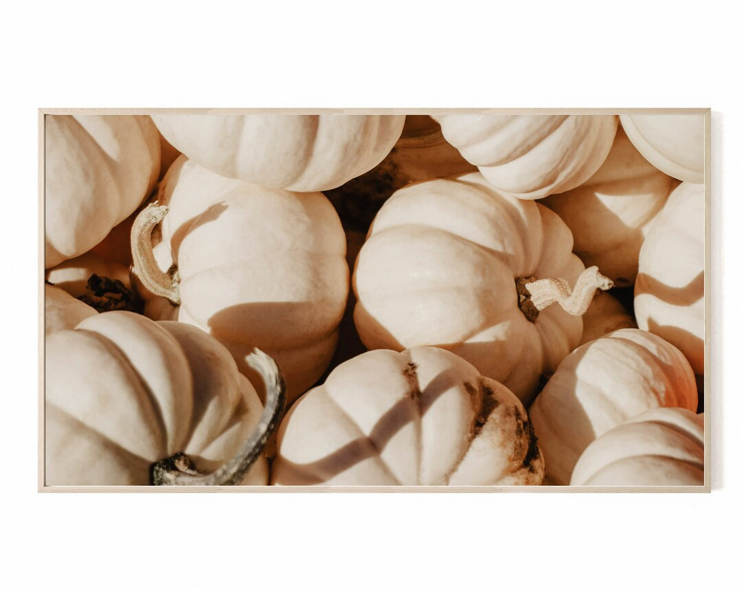 Fall Samsung Frame TV Art 4K, White Pumpkins, Neutral Fall Frame TV Art, Fall/Autumn Season, Mode... | Etsy (US)
