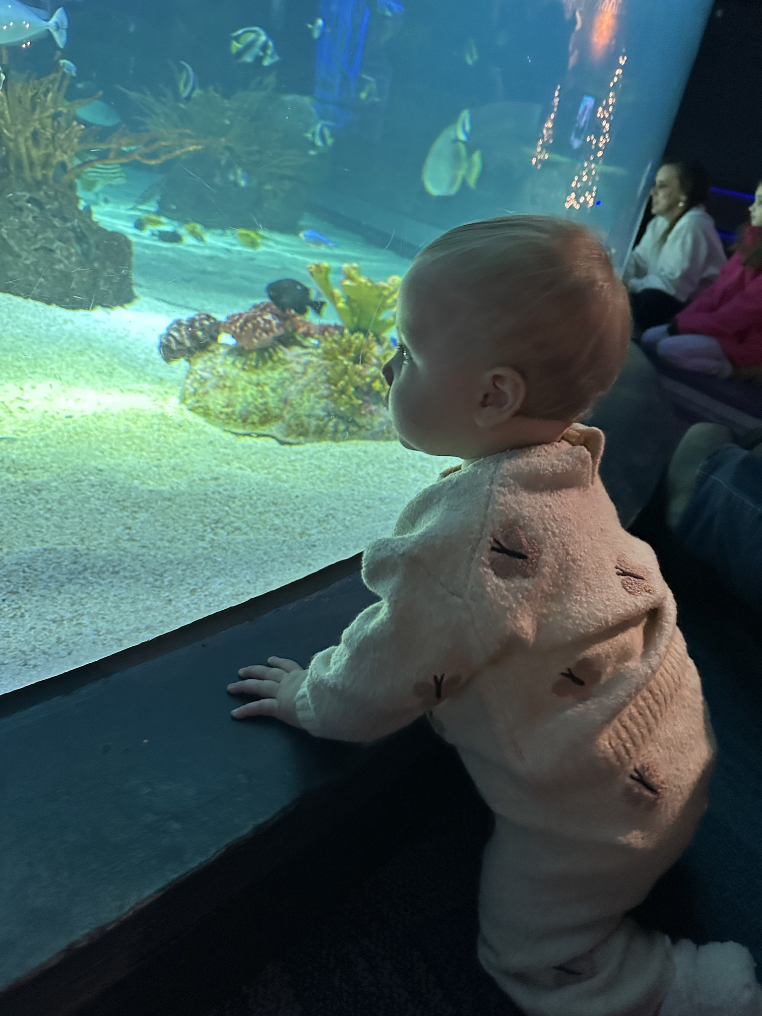 The cutest Zara butterfly jumpsuit & sweater set 

#LTKTravel #LTKBaby #LTKootd