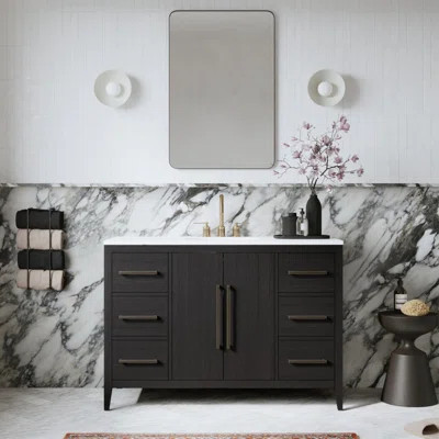 Alsup 48" Single Bathroom Vanity with Quartz Top | Wayfair North America