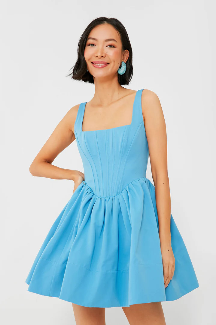 Azure Landscape Dress | Tuckernuck (US)