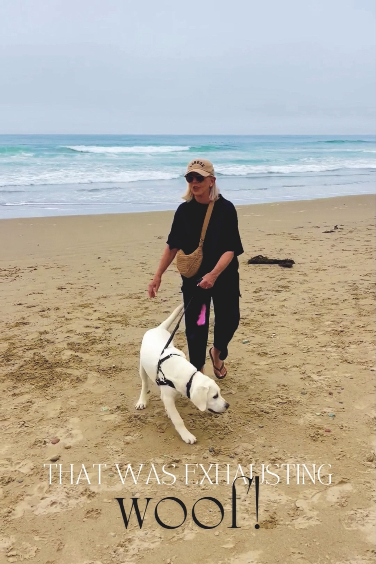 Frank and Eileen Travel Set at the beach

#traveloutfit #sweats #frankandeileen

#LTKActive #LTKStyleTip #LTKTravel