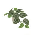 Mainstays 9" Artificial Pothos Plant in Tan Planter Pot | Walmart (US)