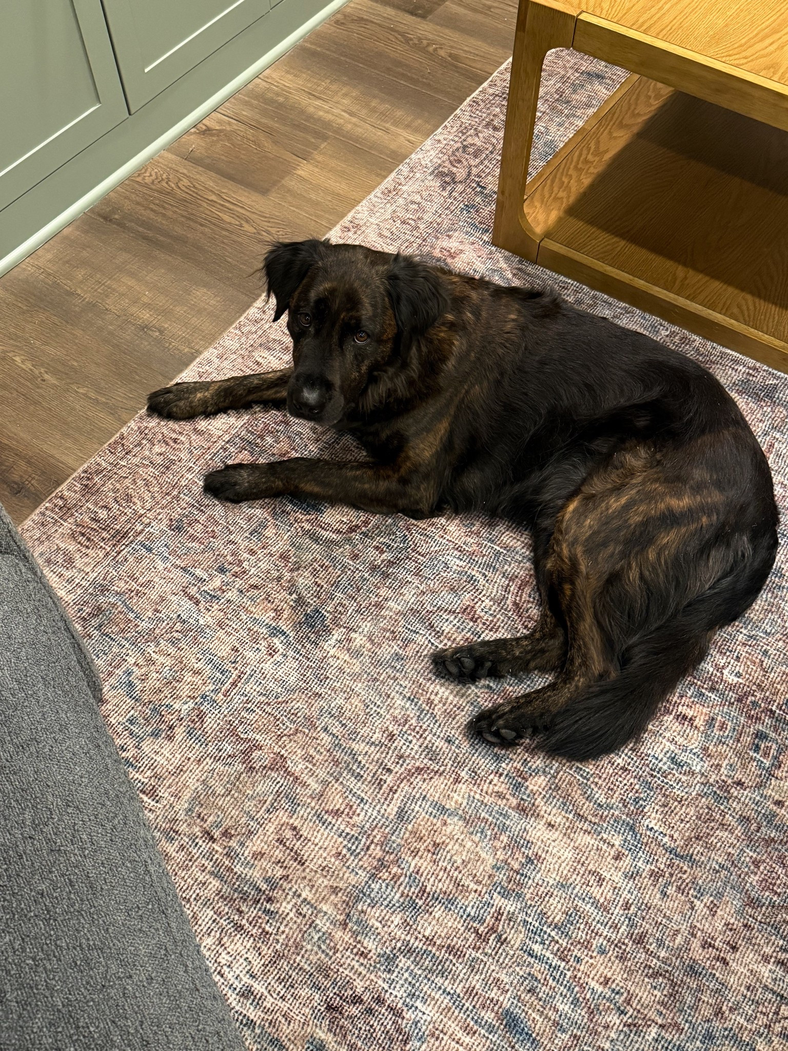 The beat rug on sale! This rug comes in two colors and I own both (this is the sea/sage version). Incredibly soft, looks great everywhere, totally kid-friendly!! Currently on sale for President’s Day weekend! 

#LTKKids #LTKHome #LTKSaleAlert