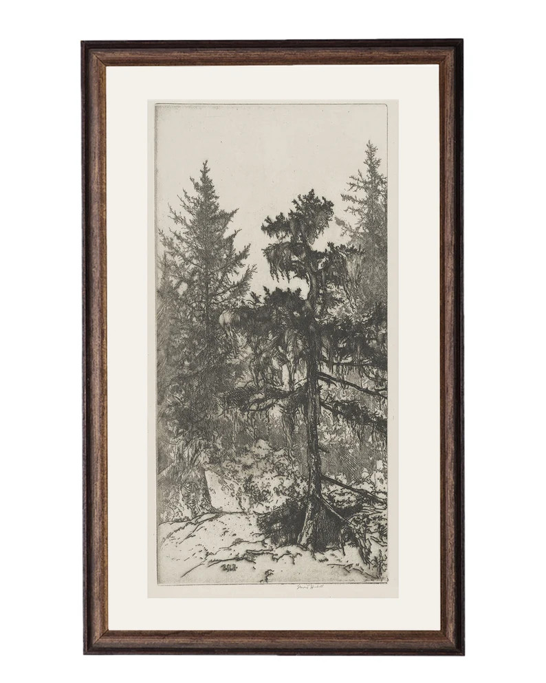 Trees Etching 2. Trees Wall Art Printed. Botanical Etching. | Etsy (US)