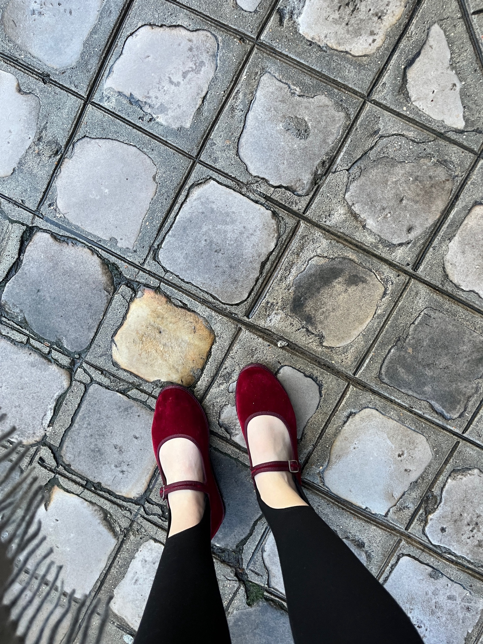 Vibi Venezia Mary Jane’s and stirrup leggings ♥️

#LTKshoecrush #LTKtravel #LTKstyletip