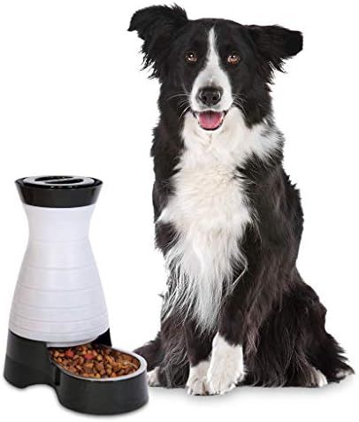 PetSafe Healthy Pet Gravity Food or Water Station, Automatic Dog and Cat Feeder or Water Dispense... | Amazon (US)