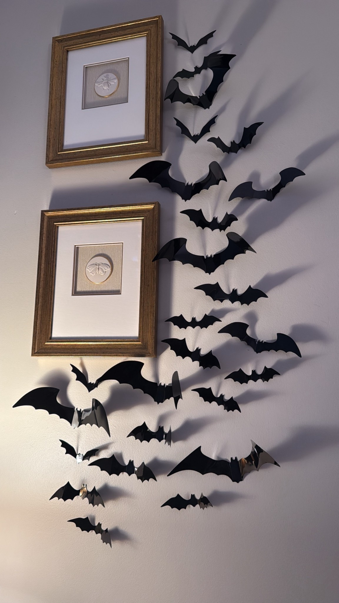 Spooky decor! 🦇

#LTKFindsUnder50 #LTKHome #LTKHalloween