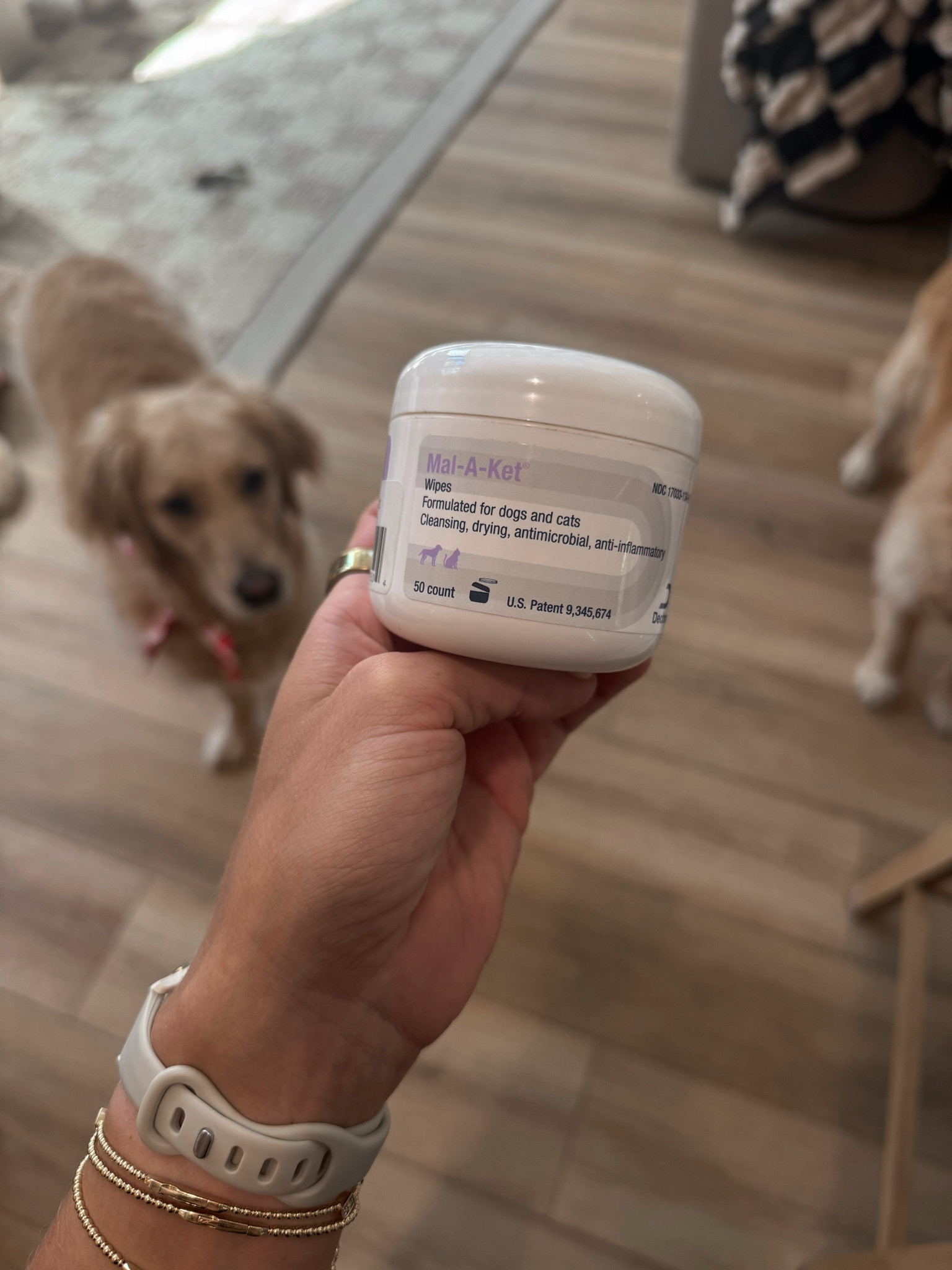 One of my fave products for the dogs🤎✨ helps keep their ears clean! The wipes make it super easy to clean on the go / daily but we also use the flush version as well! 

Golden retrievers / pet essentials / dog mom / amazon / mal-a-ket / dog mom 

#LTKPets #LTKFindsUnder50