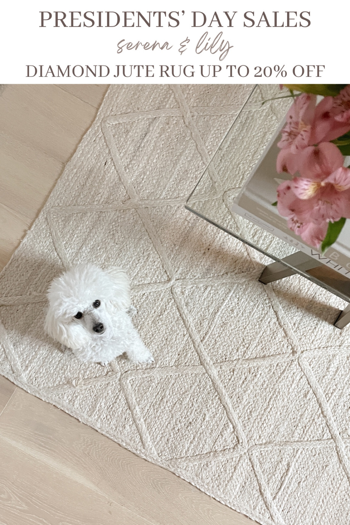 Serena and lily Presidents’ Day sale! Save up to 20% in my Diamond jute rug!

#LTKSeasonal #LTKSpringSale #LTKhome