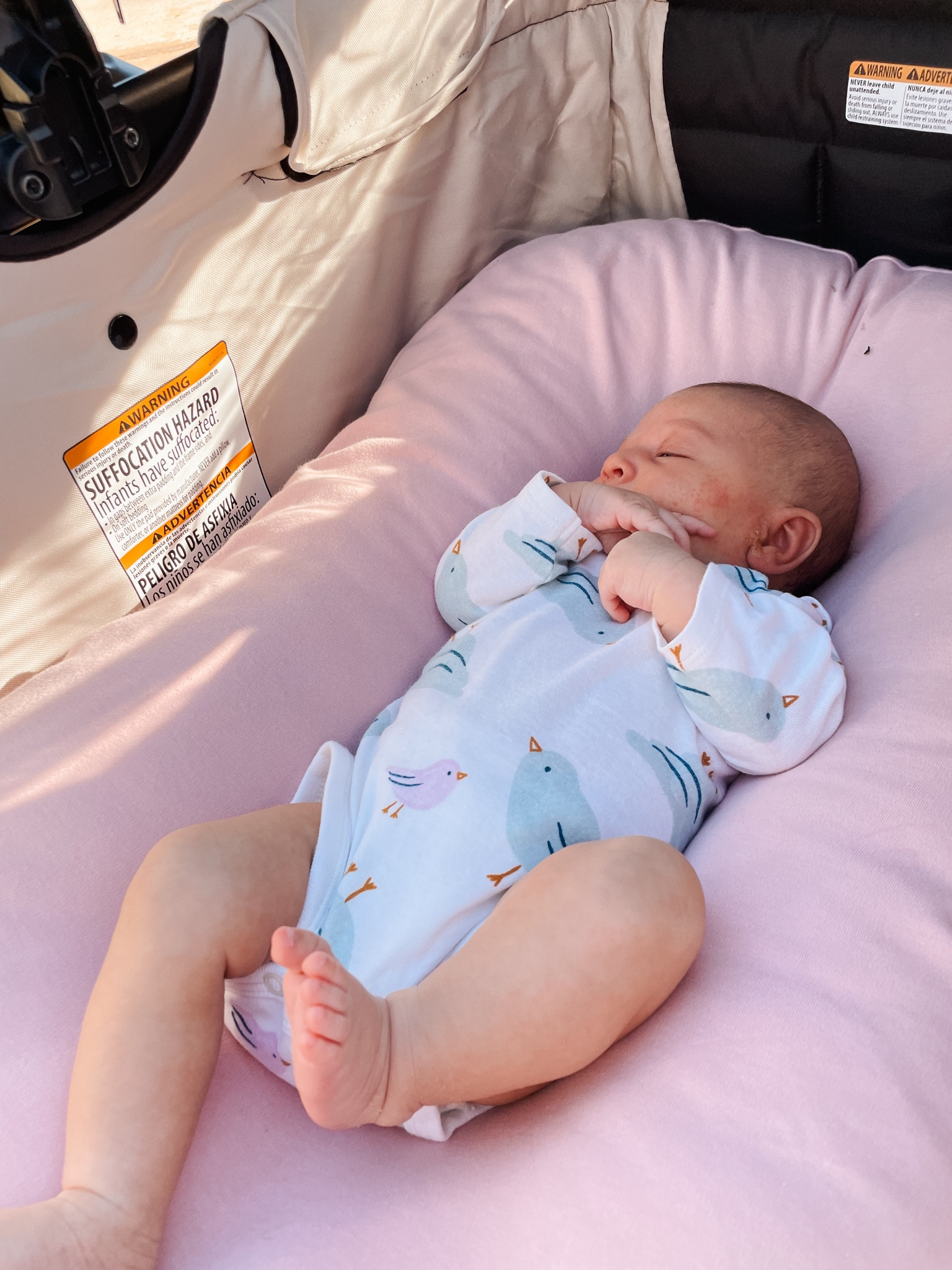Summer baby

#LTKFamily #LTKKids #LTKBaby