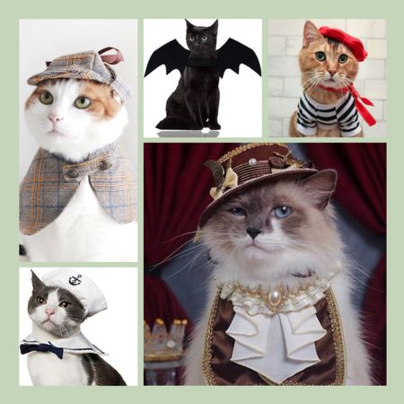 Spooky & Sweet Halloween Costumes for Pets - Halloween costumes can be so much fun, whether it is for kids, adults, or even pets. Halloween costumes for pets are some of my favorites, though. Here are a handful of the cutest pet costumes for dogs and cats this spooky season, available conveniently from Chewy, Amazon, and Etsy:

#LTKHoliday #LTKparties #LTKHalloween