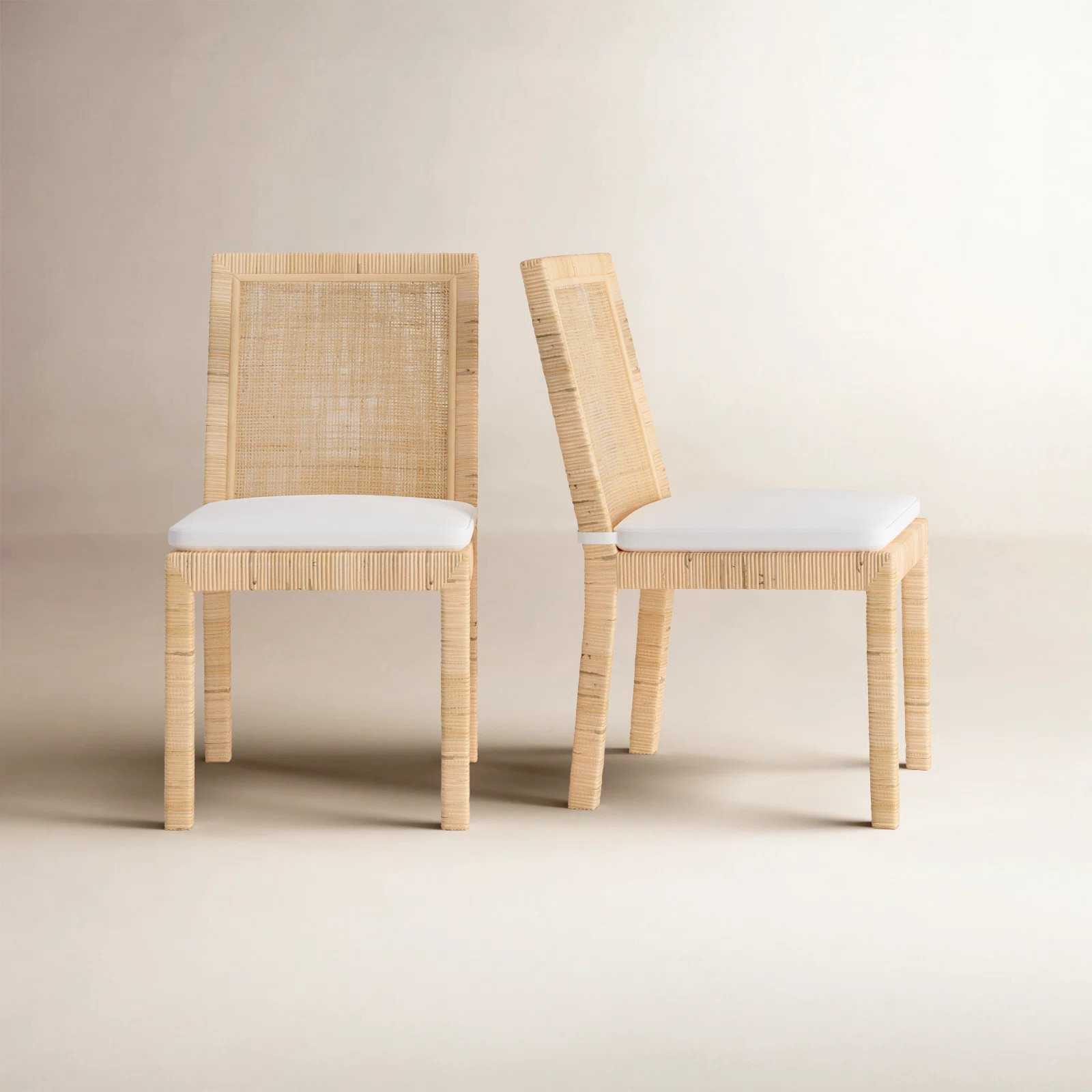 Elaina Woven Side Chair (Set of 2) | Wayfair North America