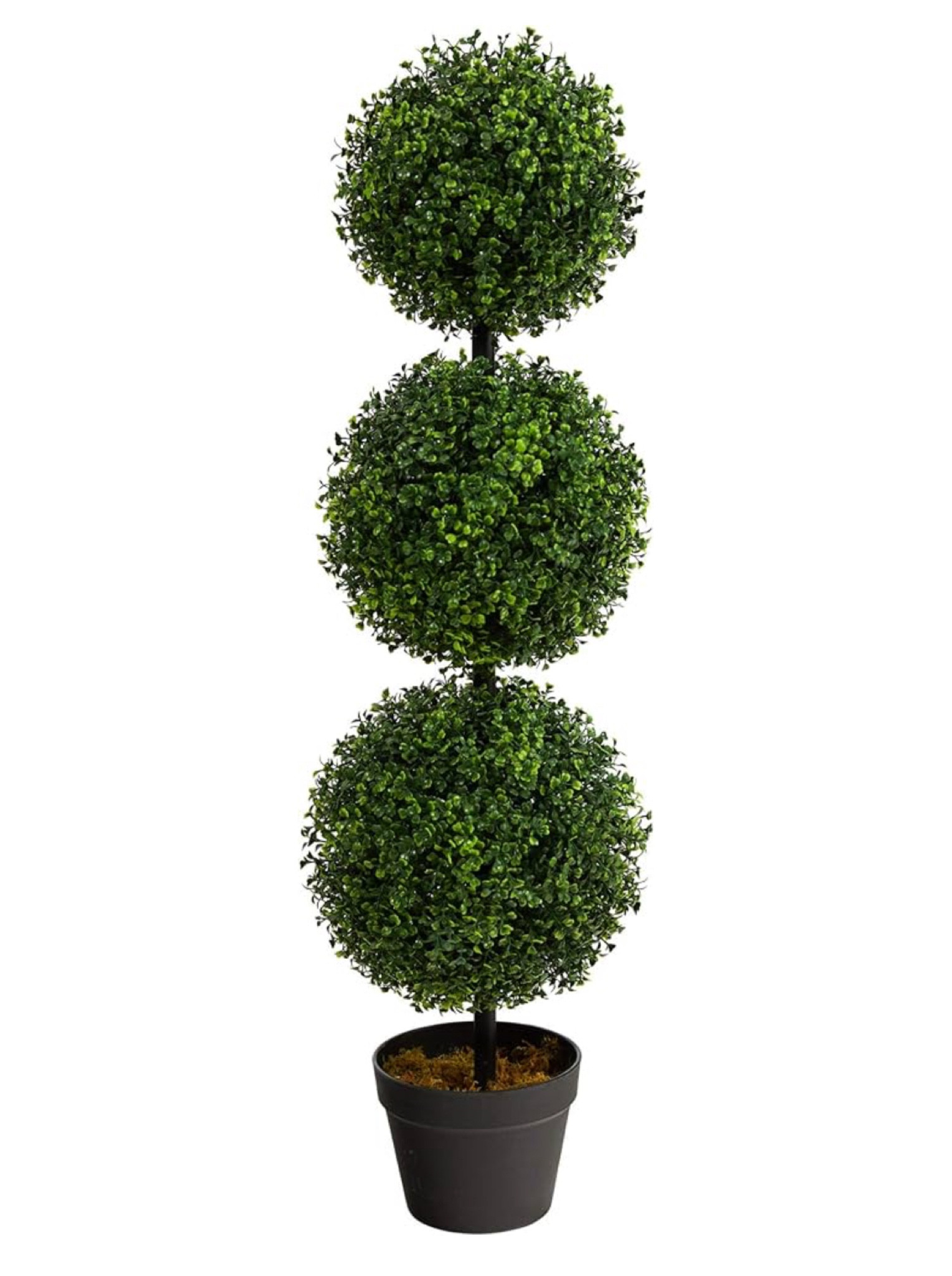 I’ve killed far too many plants on my porch, but pleasantly surprised about this faux topiary! I added some real plants below to hopefully trick the dog walkers going by 😂

Nearly natural, topiary, faux plant, indoor outdoor plants, fake plants

#LTKhome #LTKfindsunder100