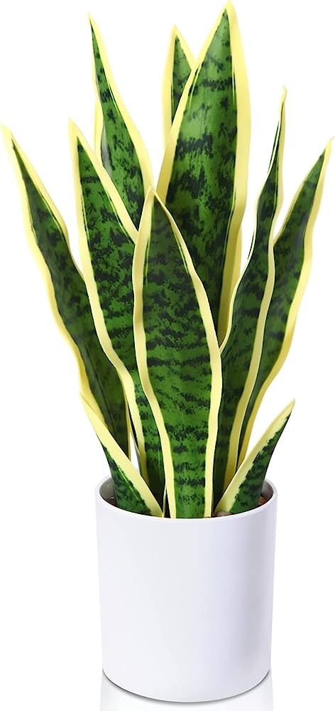 Kazeila Artificial Snake Plant 16 Inch Small Fake Sansevieria Tree,Faux Desk Plant in Pot for Ind... | Amazon (US)