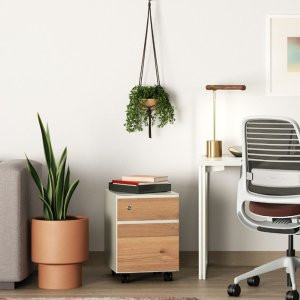 Faux Potted Snake Plant | West Elm (US)