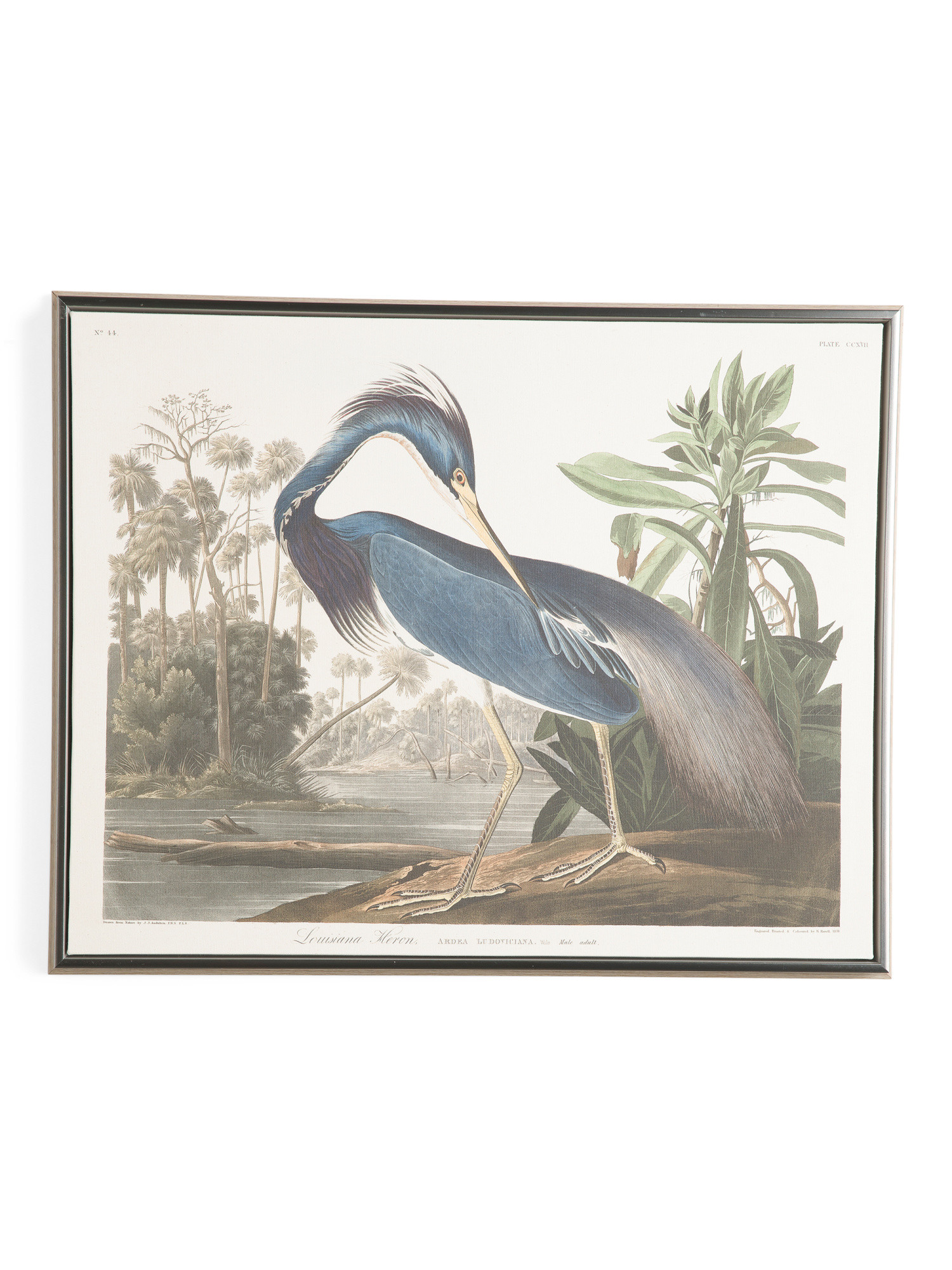 22x28 Cotton Canvas Looking Behind Framed Wall Art | Marshalls