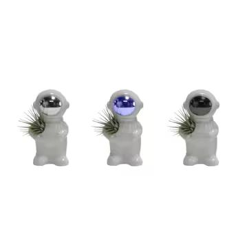 LiveTrends Ad Astra- Air Plant House Plant in 1-Pack | Lowe's