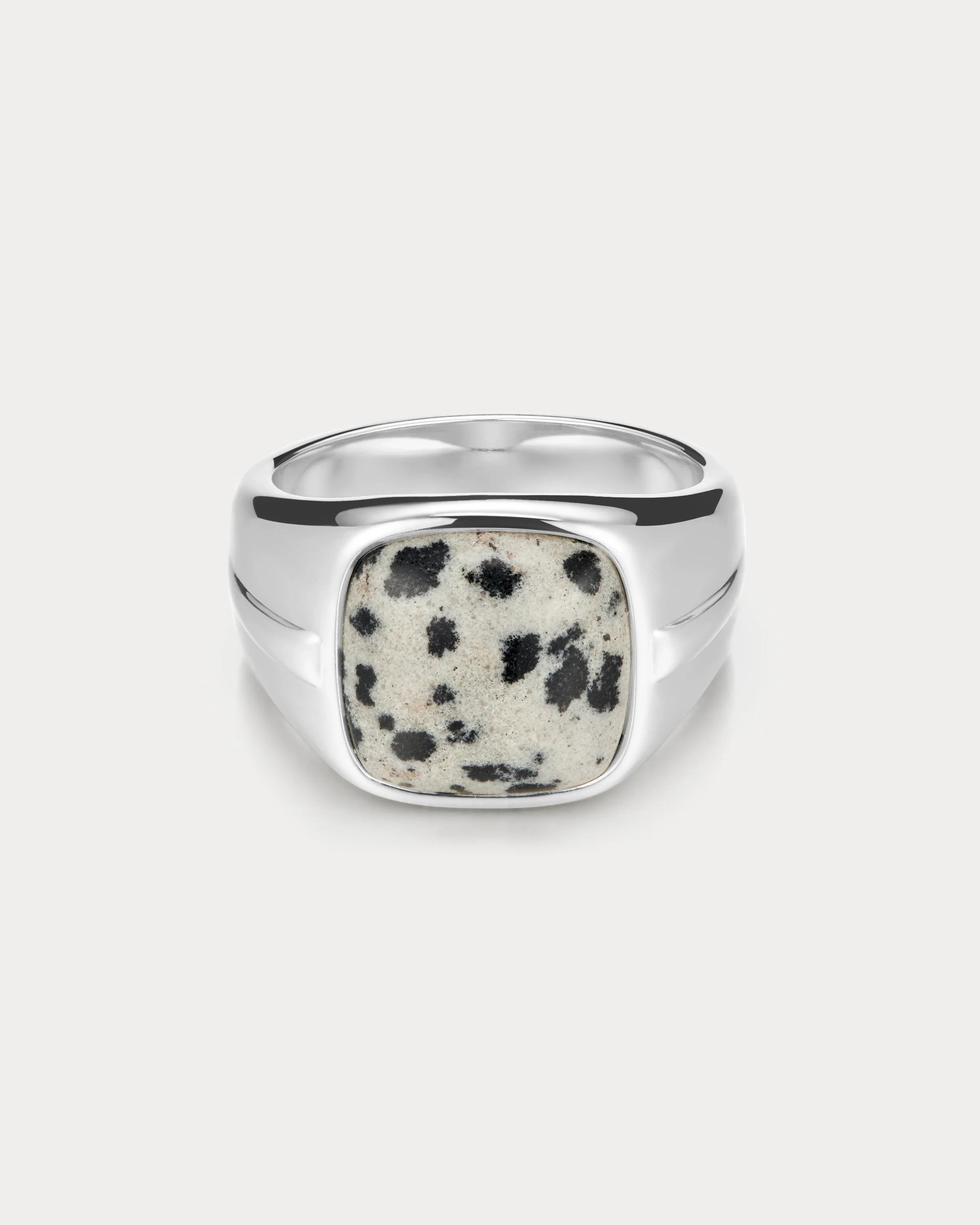 The Palma Signet Ring- Silver | Luv Aj Inc.