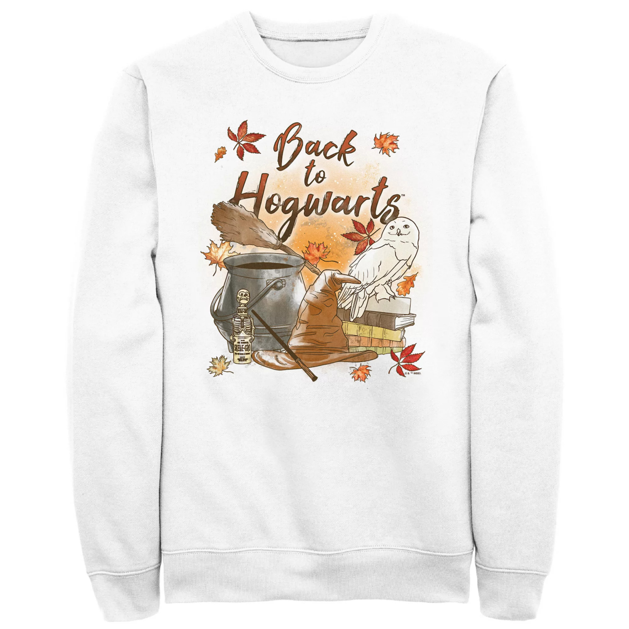 Men's Harry Potter Back To Hogwarts Graphic Fleece | Kohl's