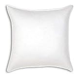 Eastern Accents Luxury Hypoallergenic Down-Alternative Pillow, Euro, White | Amazon (US)