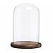 MyGift Glass Bell Jar Cloche Display Dome with Rustic Burnt Wood Base | Amazon (US)
