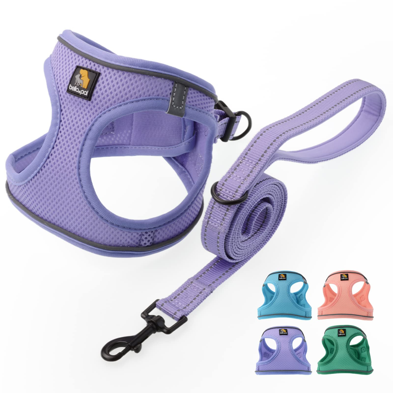 BELLA & PAL Step in Vest Harness for Small and Medium Dogs, No Pull Small Dogs Harness with Leash... | Amazon (US)
