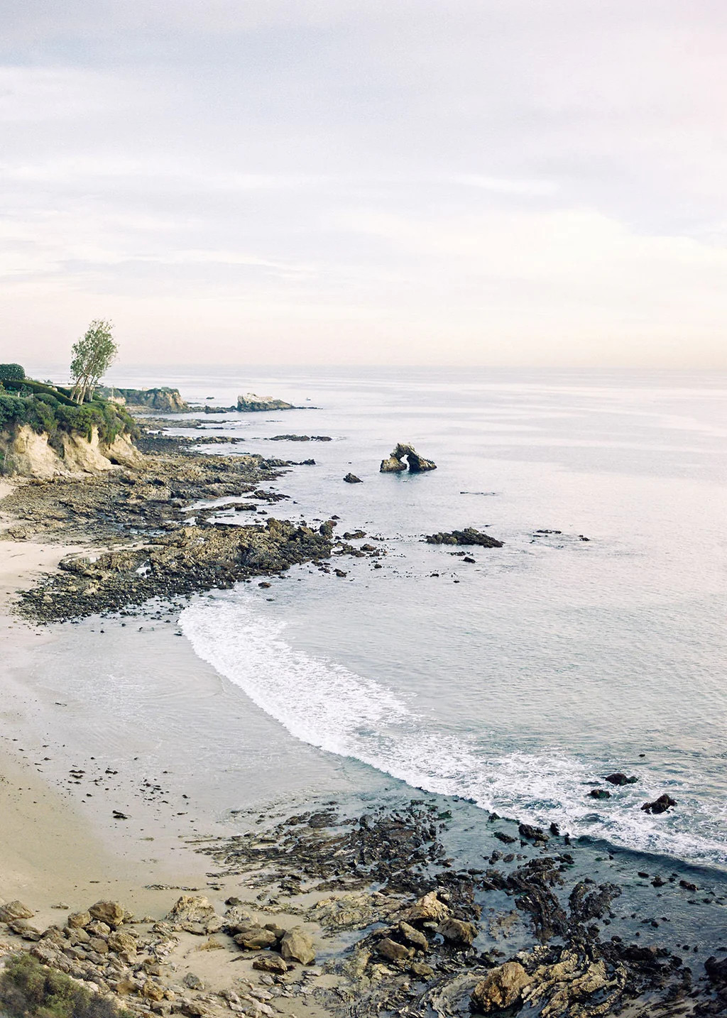Little Corona | Cove Prints