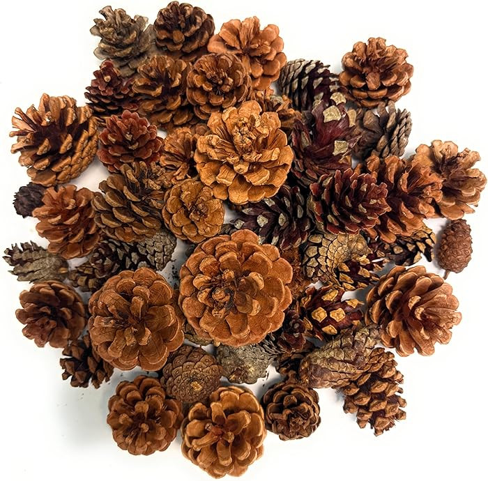 Nautical Crush Trading Scented Pine Cones Cinnamon - Pine Cones for Decorating -Variety Mix 40+ C... | Amazon (US)