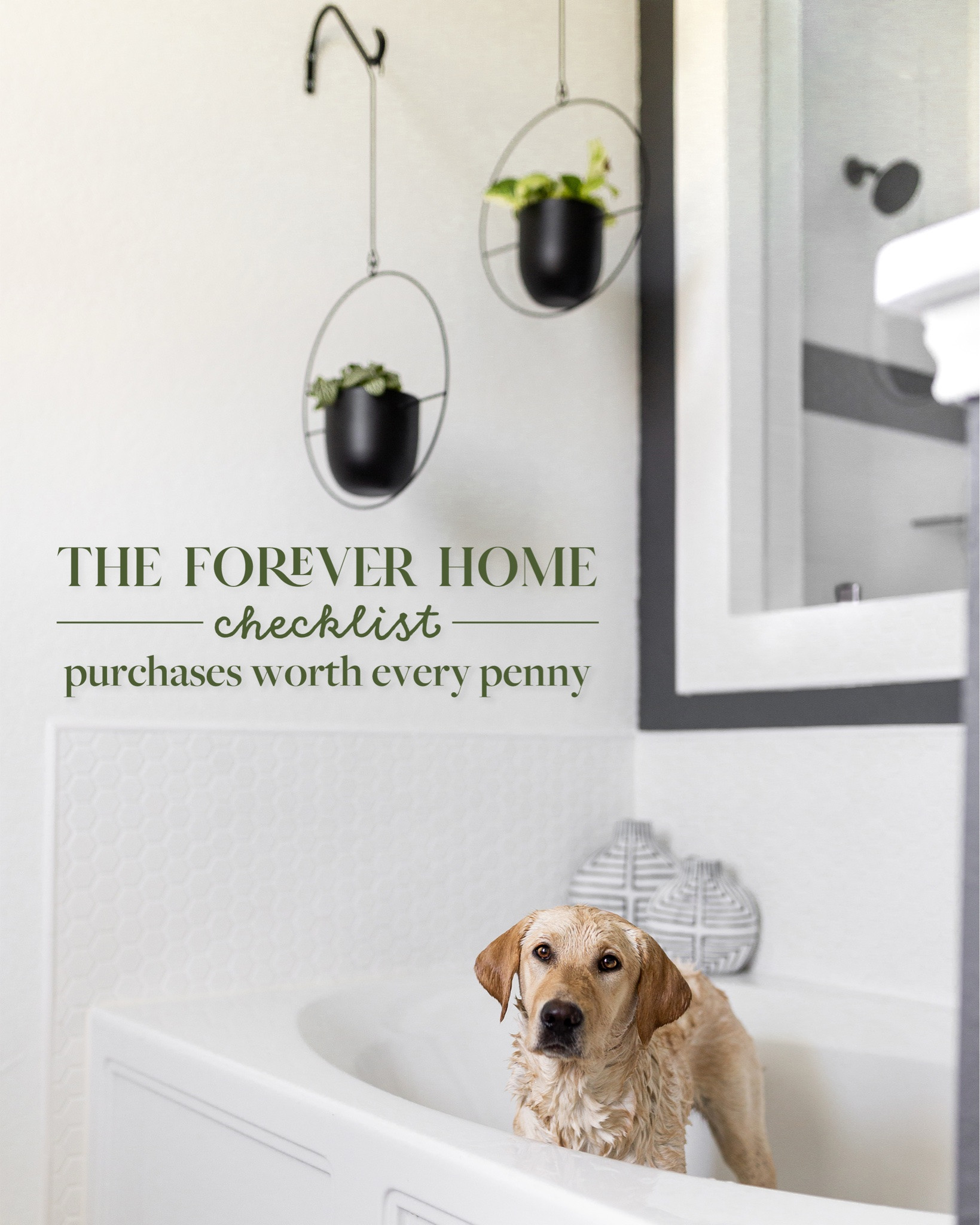 These are the home purchases I’d buy again without hesitation because they’ve proven to be worth every penny. Linking everything I can here for easy browsing.

What’s one purchase you’d recommend to everyone?

#LTKHome #LTKSaleAlert