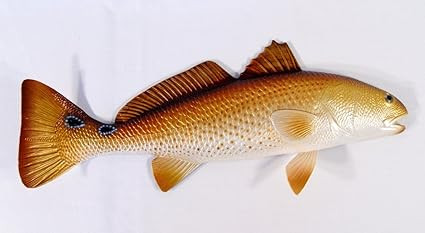 Charlotte International Replica Red Drum Fish Ocean Restaurant Wall Decor | Amazon (US)