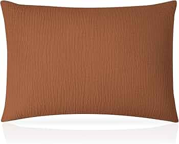 Pro Goleem Toddler Pillow with Muslin Cotton Pillowcase, 13x18 Soft Toddler Pillows for Sleeping ... | Amazon (US)