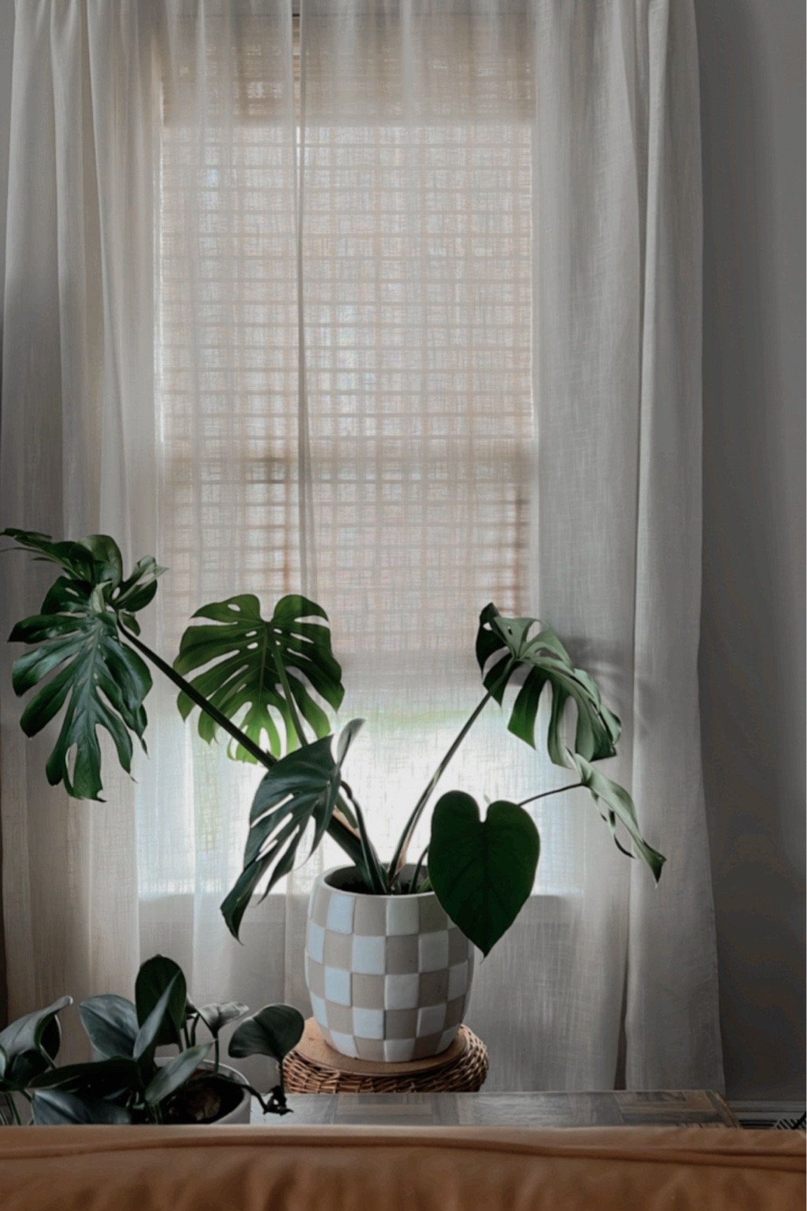 #plants #boho #checker #home #neutral #neutralhome #homedesign

#LTKhome