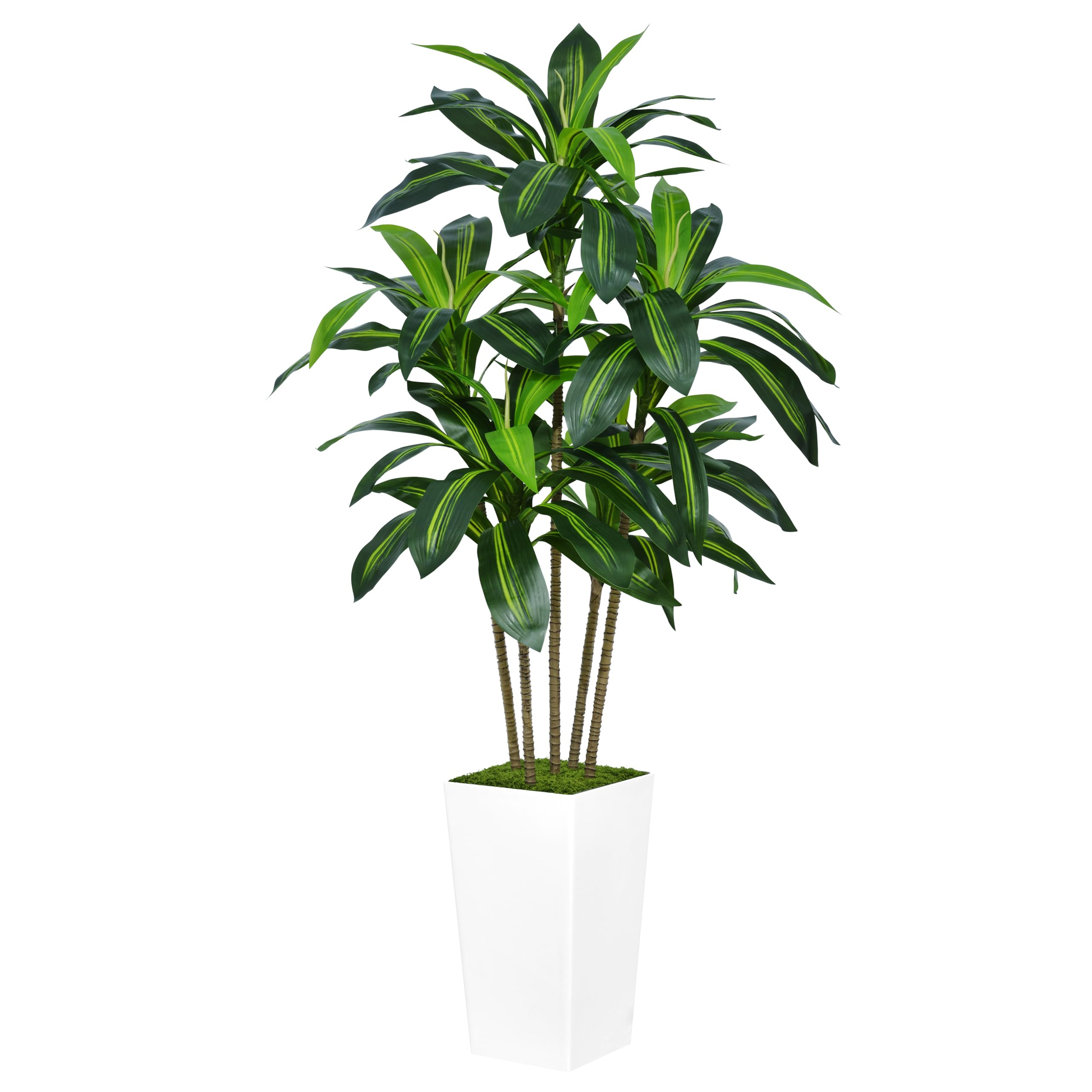 Artificial Dracaena Tree 5FT - Faux Tree with White Tall Planter - Fake Tropical Yucca Floor Plant in Pot - Artificial Silk Tree for Home Office Living Room Decor Indoor | Amazon (US)